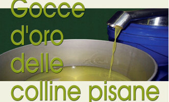 III’ MANIFESTAZIONE “GOCCE D’ORO DELLE COLLINE PISANE” 9 – 10 MARZO 2013 – PROGRAMMA